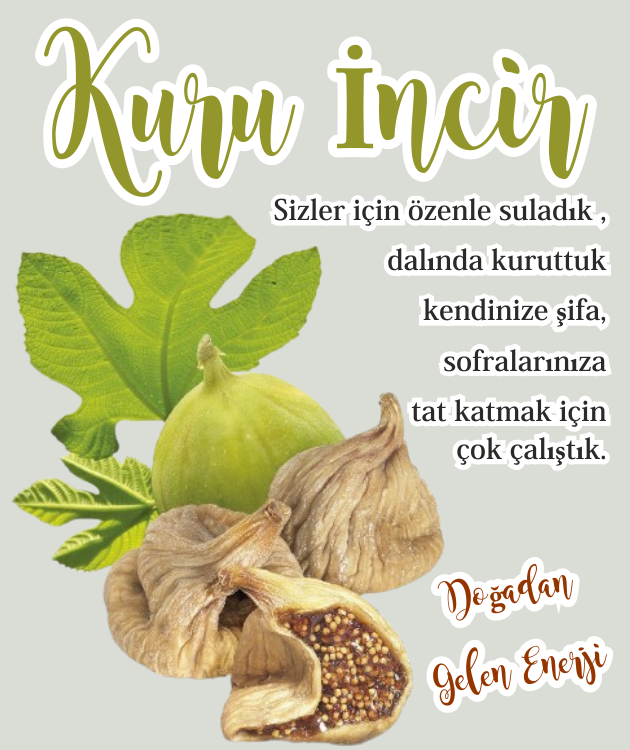 kuru incir